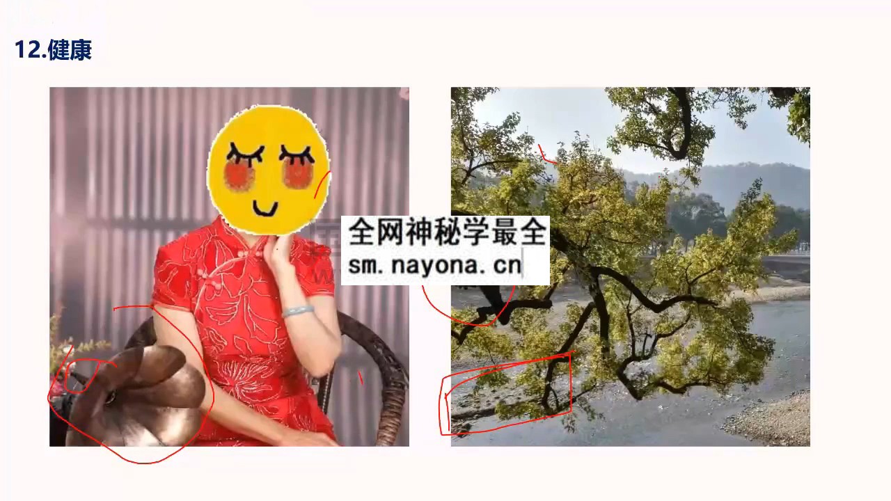 照明居士头像分析高级班第二期视频25集约24.5小时 手相面相 第1张