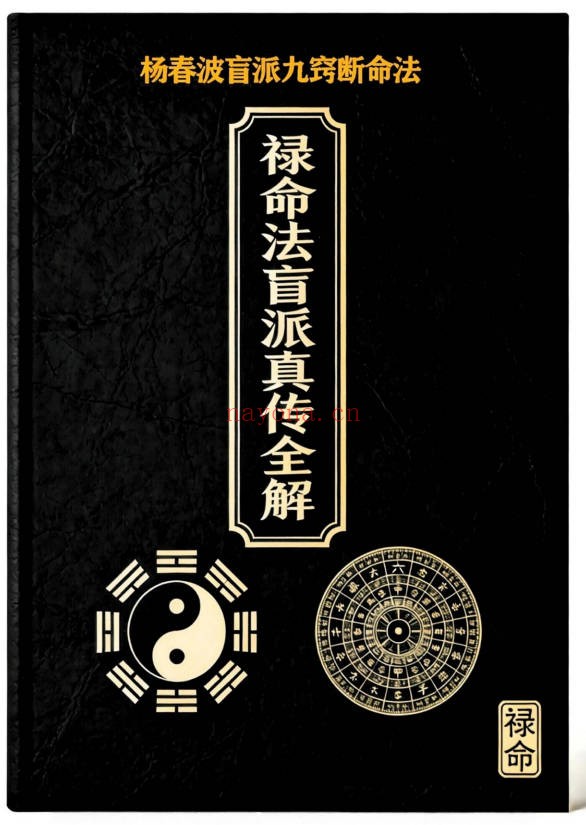 杨春波禄命法盲派真传全解九窍断命法410页PDF