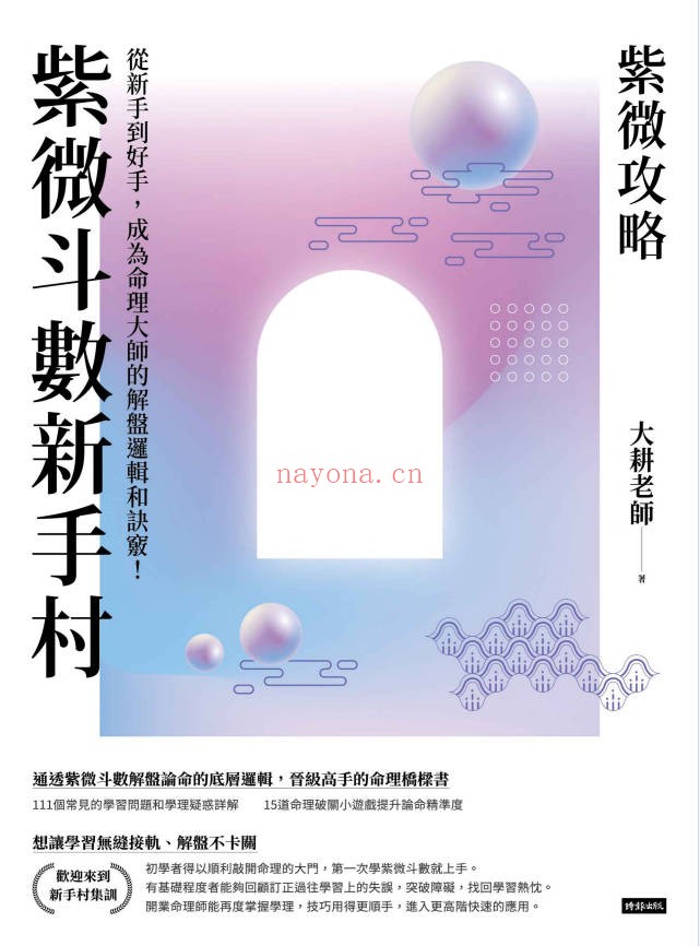 大耕老师紫微攻略紫微斗数新手村400页PDF