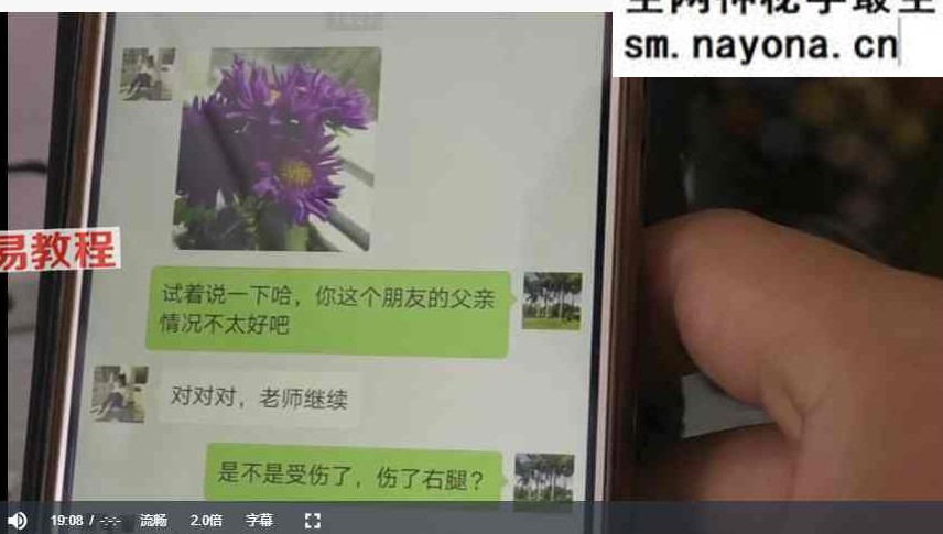 雷麟宗形家观字术视频+课件pdf