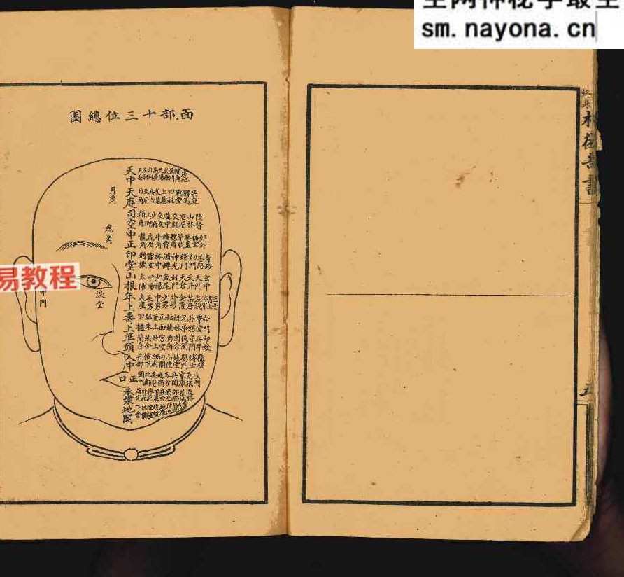 决断终身相术奇书.pdf 90页 双开本