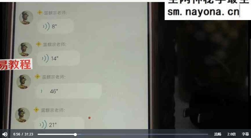 雷麟宗形家观字术视频+课件pdf