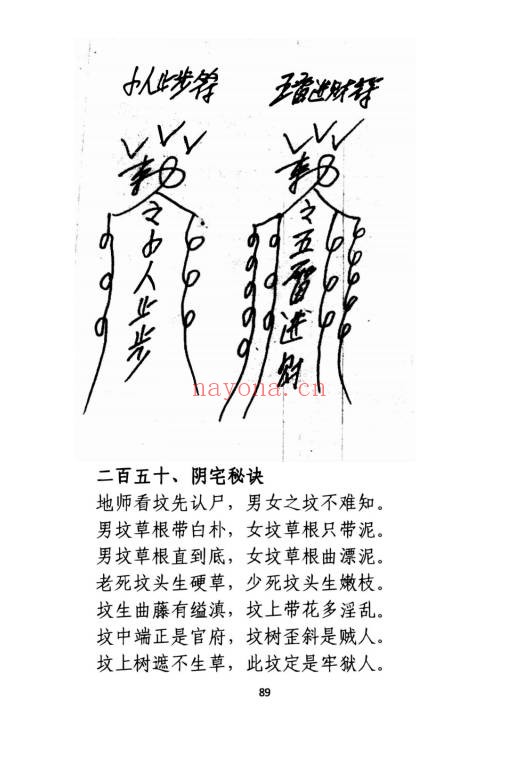 孙庆福挥手定乾坤288页PDF 道家秘法