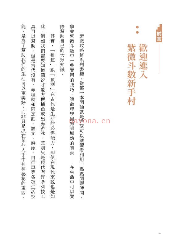 大耕老师紫微攻略紫微斗数新手村400页PDF
