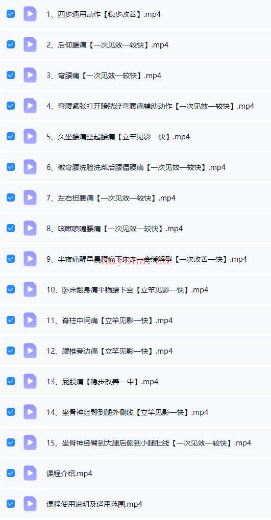 腰椎自疗自愈一站式解决17集视频 腰椎康复教程