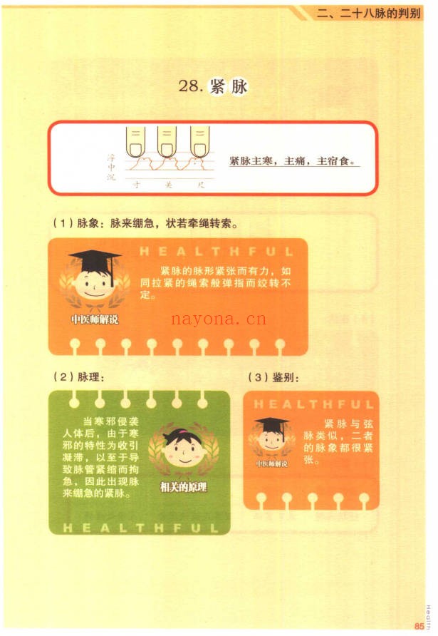 林政宏脉诊一学就通183页PDF 中医脉诊教程