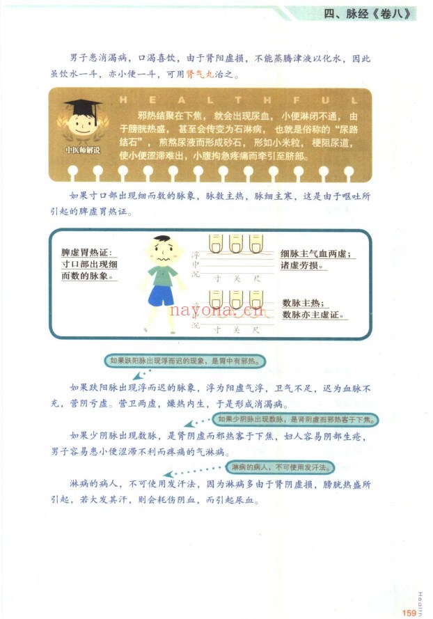 林政宏脉诊一学就通183页PDF 中医脉诊教程