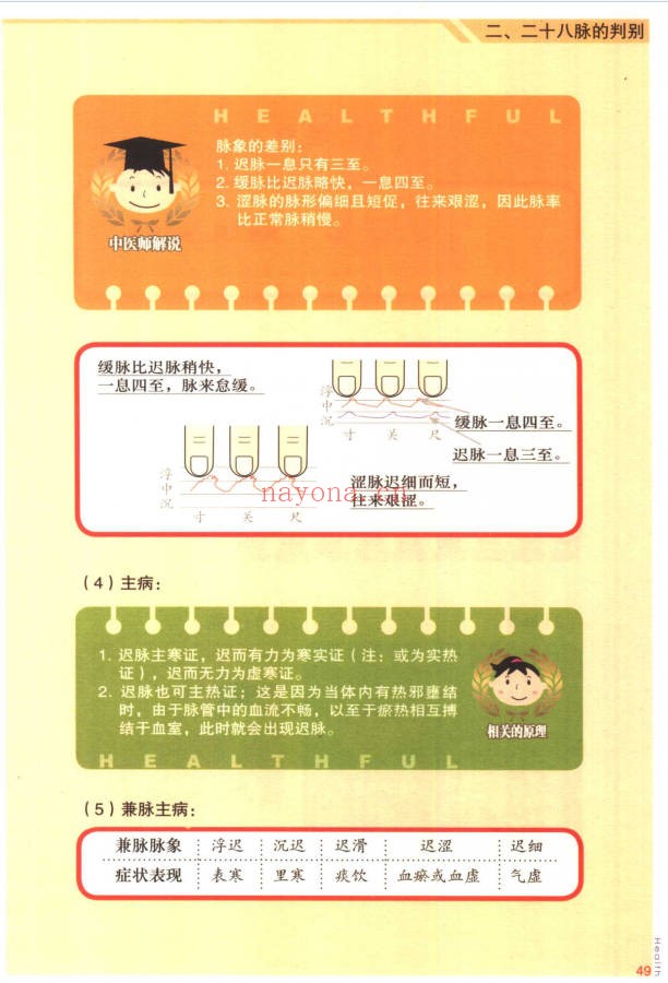 林政宏脉诊一学就通183页PDF 中医脉诊教程