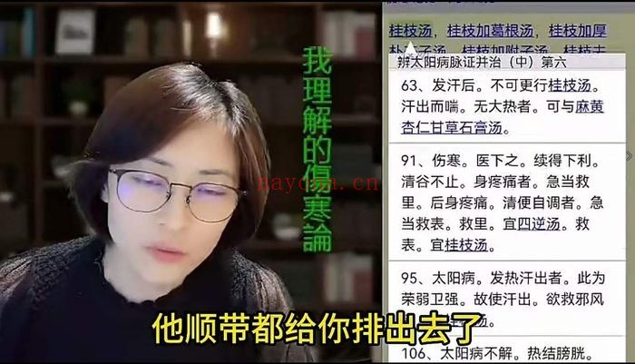 王大皮零基础专业拆解伤寒论48节视频 中医教程