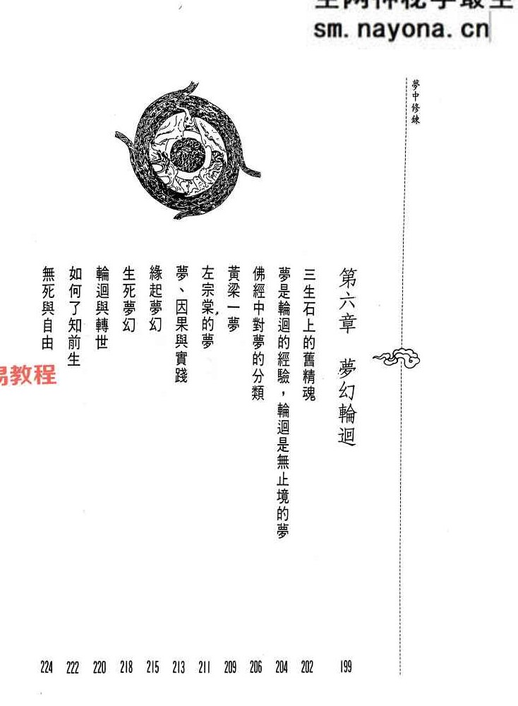 梦中修炼 洪缘音.pdf 312页