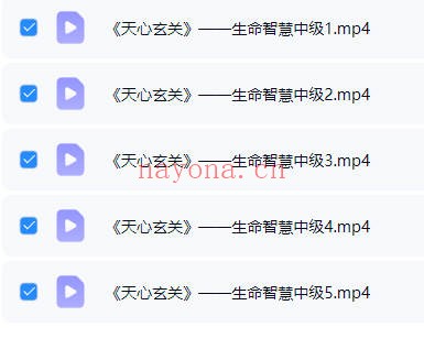 天心玄关生命智慧视频5集 玄关一窍修行课