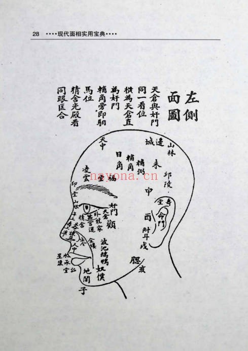 马启福面相通解352页PDF 面相学教程