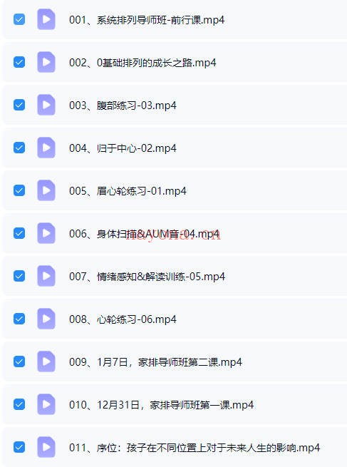 元象文化系统排列导师班家排课程33集视频