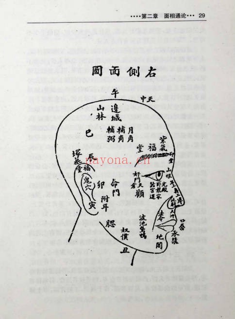 马启福面相通解352页PDF 面相学教程