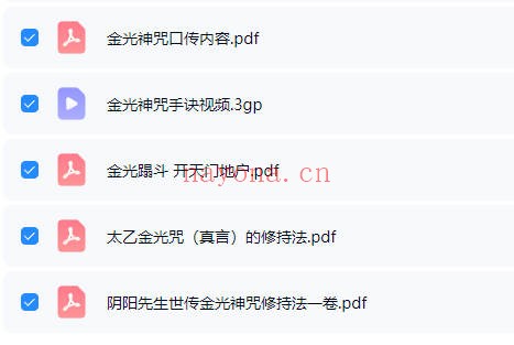 阴阳先生世传金光神咒修持法视频+课件 道家秘法