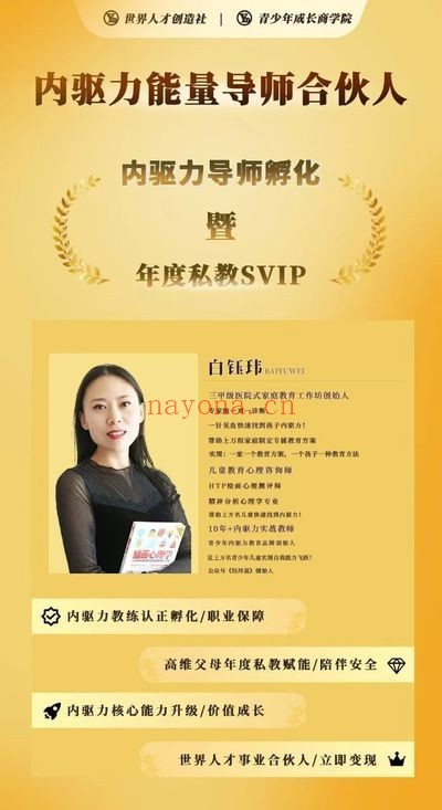 白钰玮内驱力能量导师百万密训大课16集视频