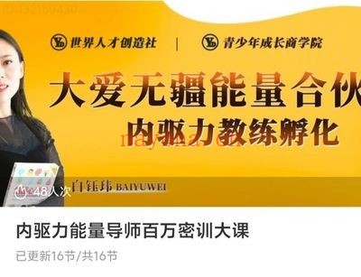 白钰玮内驱力能量导师百万密训大课16集视频