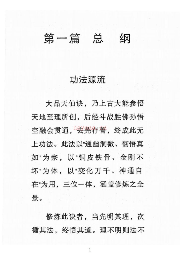 《大品天仙诀·斗战胜佛秘传功法》10