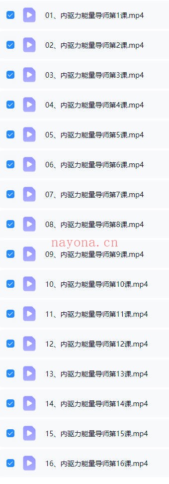 白钰玮内驱力能量导师百万密训大课16集视频