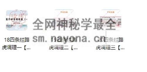 H828易朴玄青《奇门遁甲亲传班》30 集高清视频含配套课件