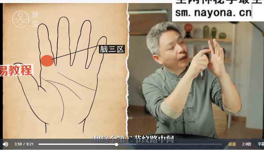 黄凯晟掌纹的秘密视频20集