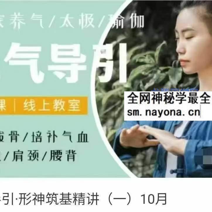 元气导引 形神筑基精讲 一 10月24集视频