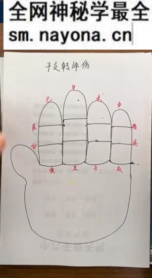 隽宁老师《梅花视频课程》89集视频