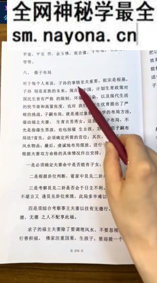 隽宁老师《梅花视频课程》89集视频