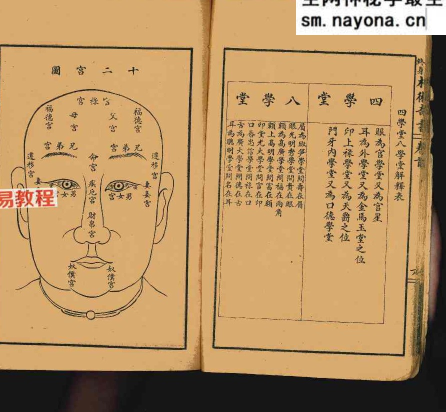 决断终身相术奇书.pdf 90页 双开本