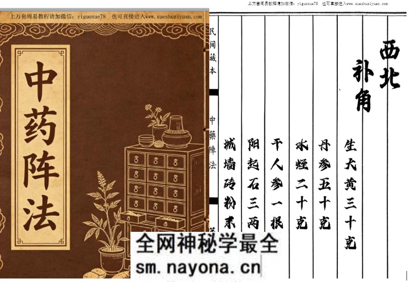 民间藏本《中药阵法》97页 电子版