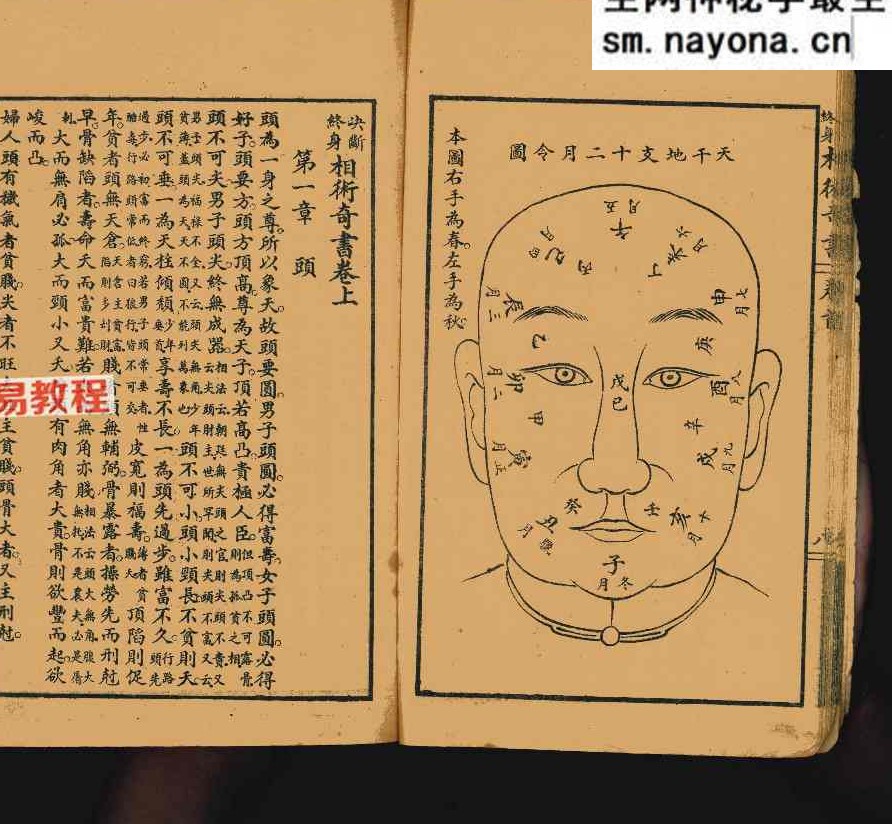 决断终身相术奇书.pdf 90页 双开本