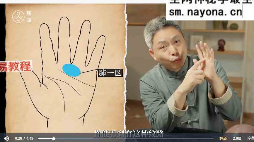 黄凯晟掌纹的秘密视频20集