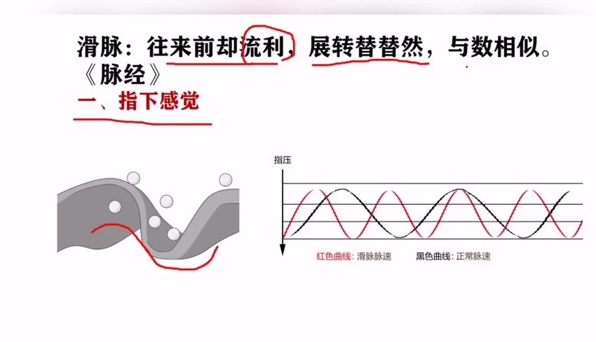《古训堂陈雷 伤寒脉法讲解》视频27集