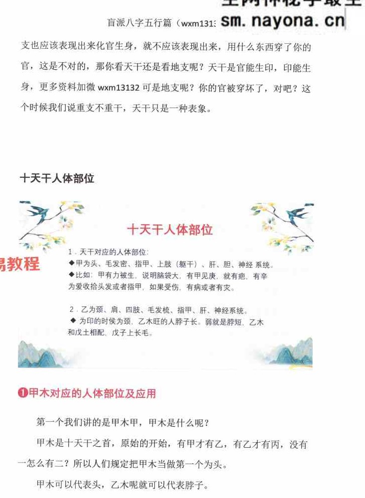 崔文举 盲派八字（五行篇）.pdf 165页