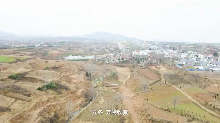 《乡间无杂草认识全是宝每天一味中草药成就中医大梦想》视频879集
