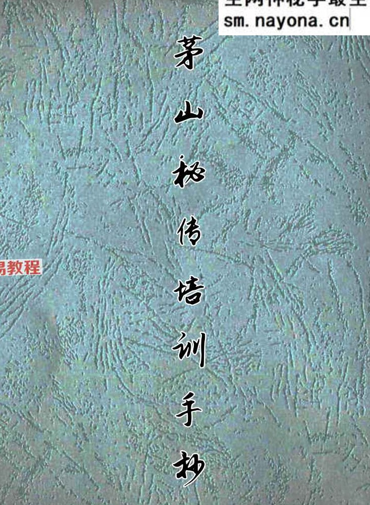 茅山秘传培训手抄本.pdf 112页