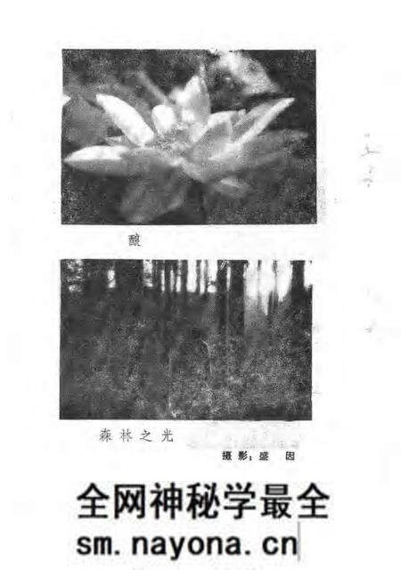 1987版南陵县文史资料 第6辑.pdf电子版_安徽省志预览图4 1987版南陵县文史资料 第6辑.pdf电子版_安徽省志预览图4