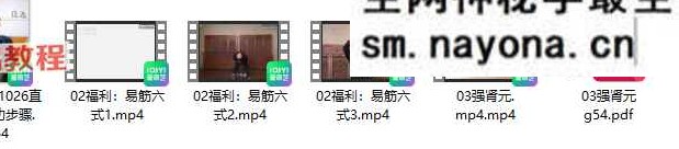 道门原传经典内功十六锭视频+录音