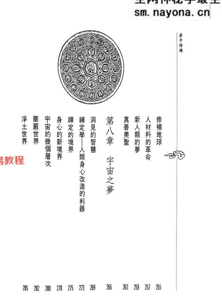 梦中修炼 洪缘音.pdf 312页
