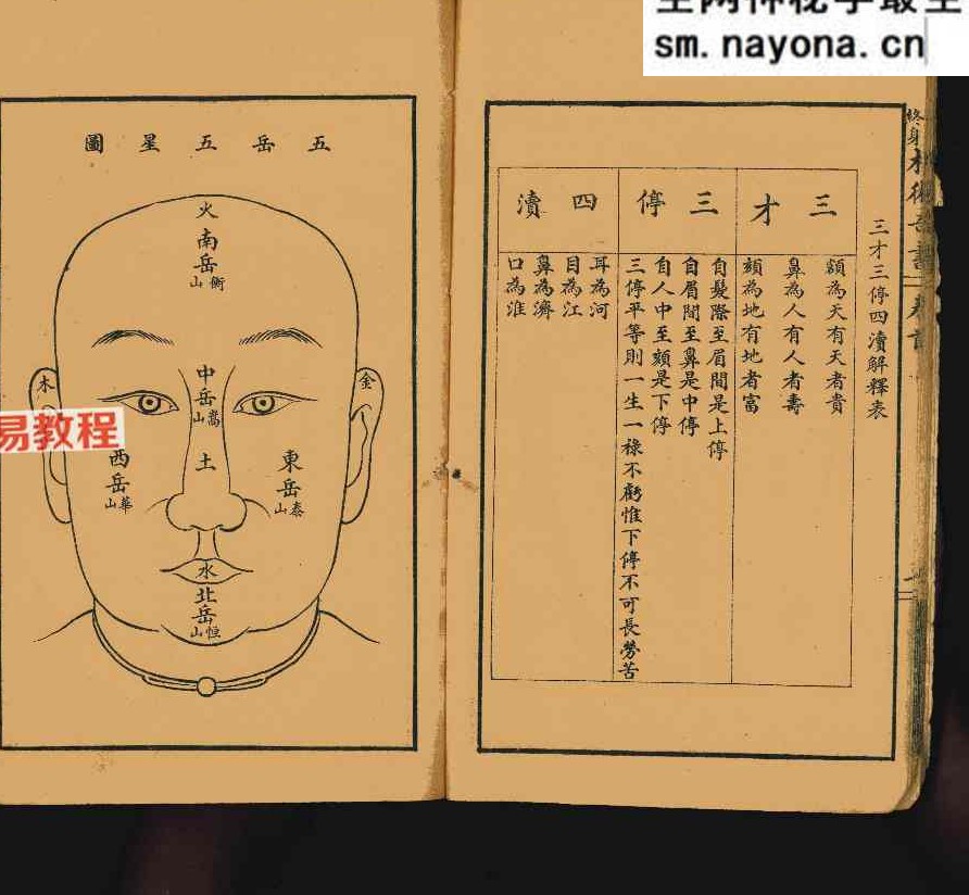 决断终身相术奇书.pdf 90页 双开本
