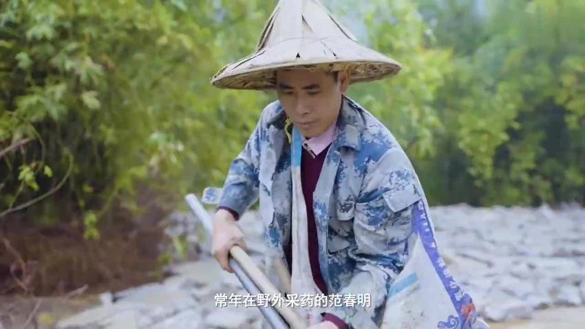 《乡间无杂草认识全是宝每天一味中草药成就中医大梦想》视频879集