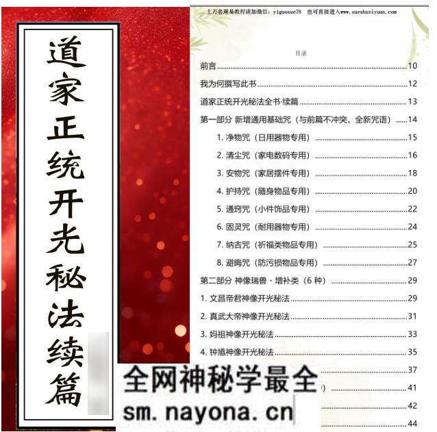 于城道道家正统开光秘法续篇现代226页