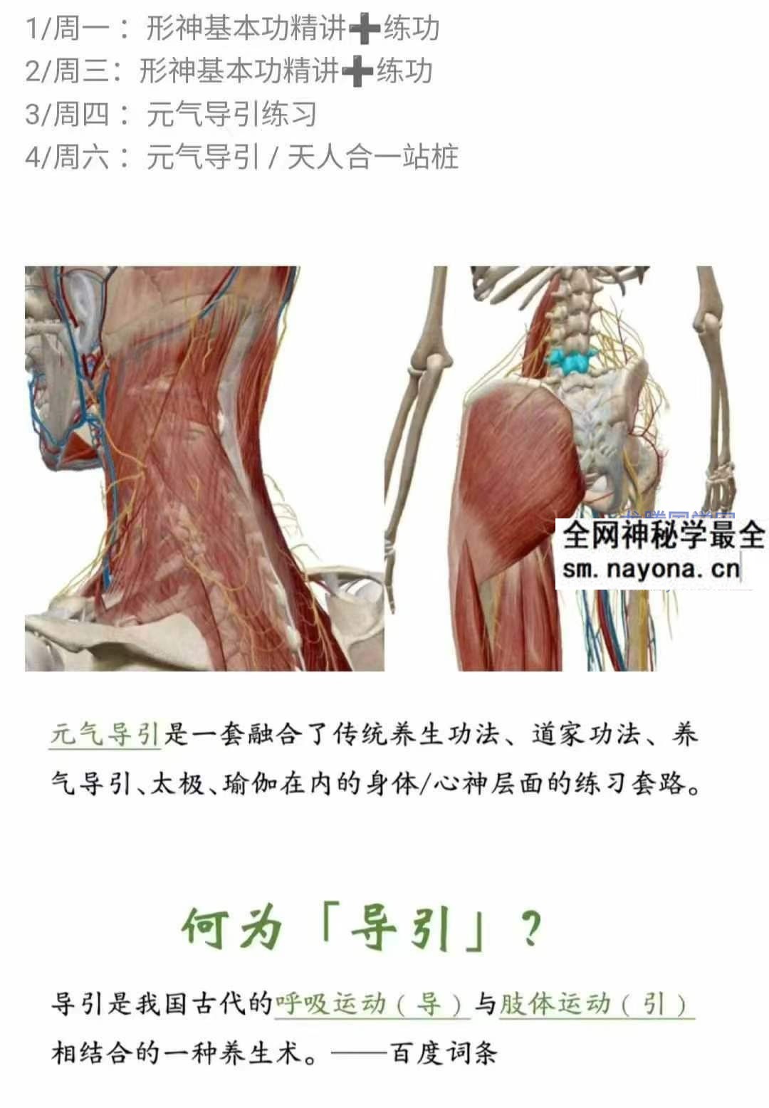元气导引 形神筑基精讲 一 10月24集视频