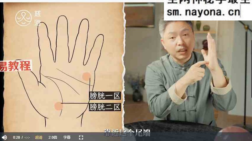 黄凯晟掌纹的秘密视频20集