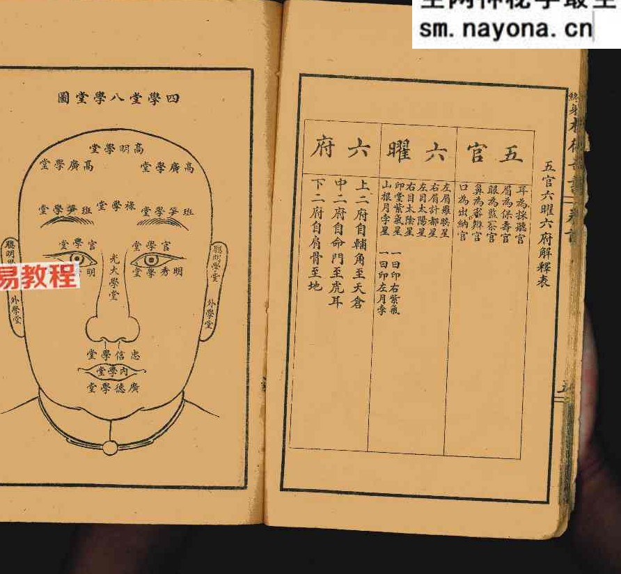 决断终身相术奇书.pdf 90页 双开本