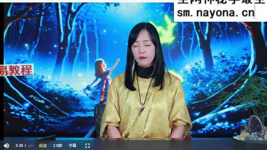 【墨尔冥想】唐宁—般若心像  秋季高阶实修：直播亲领私教视频29集