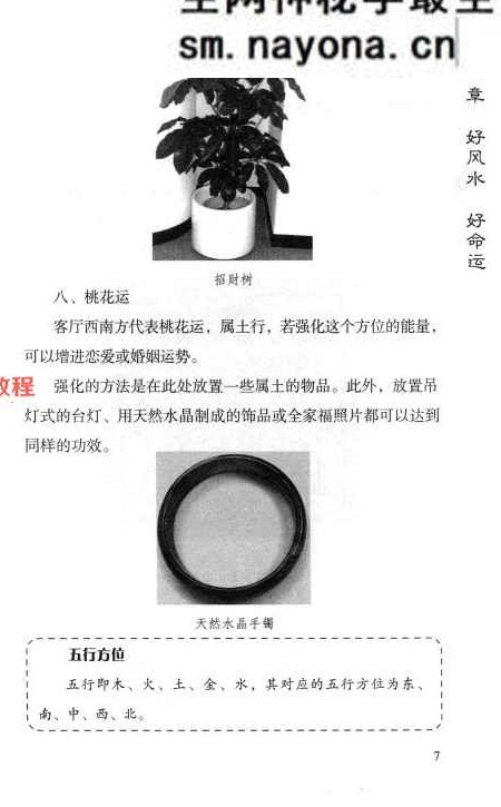 杨智麟旺风水系列  旺运书.pdf 292页