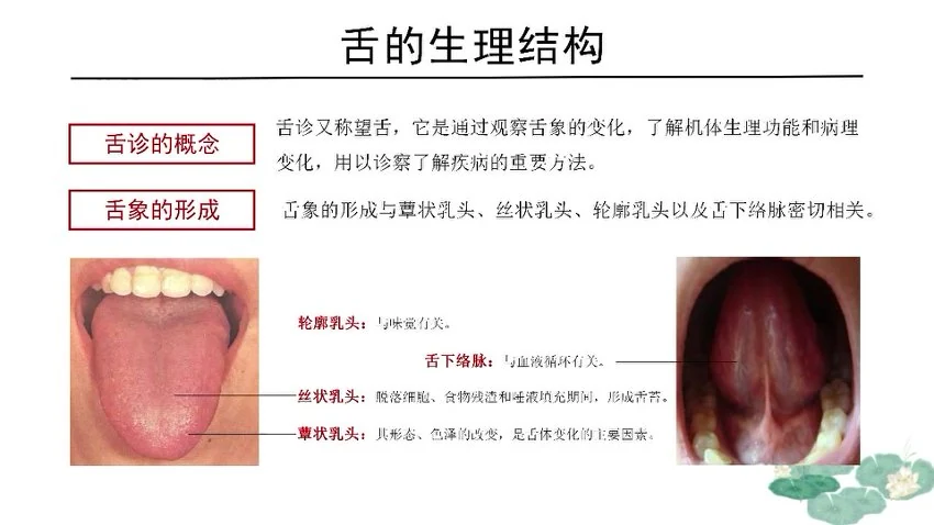 《韩学杰观舌识内疾》视频67集