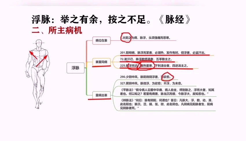 《古训堂陈雷 伤寒脉法讲解》视频27集