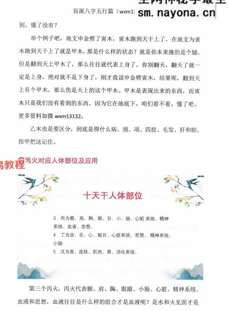 崔文举 盲派八字(五行篇).pdf 165页